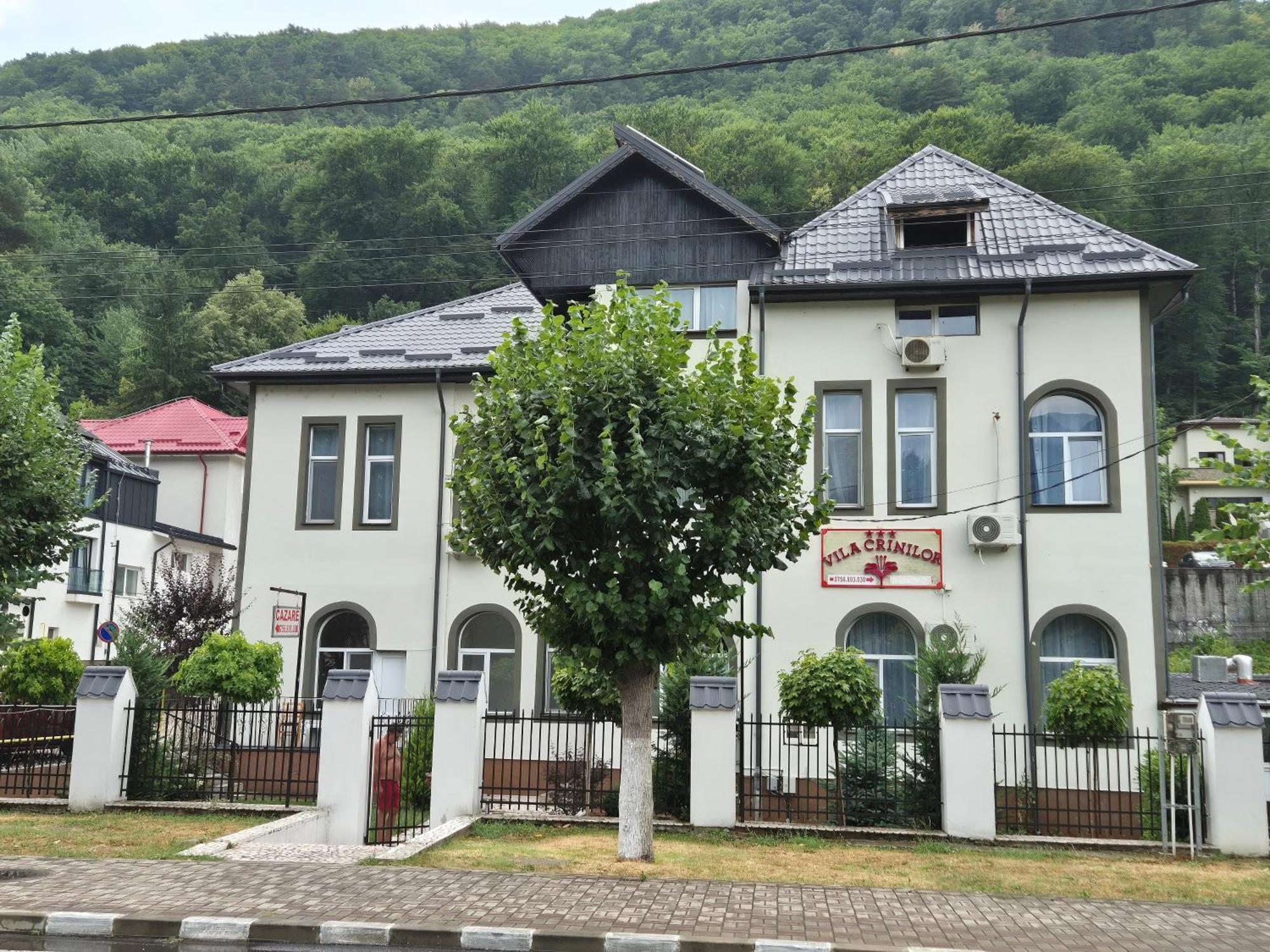 Vila Crinilor Călimăneşti Exteriér fotografie
